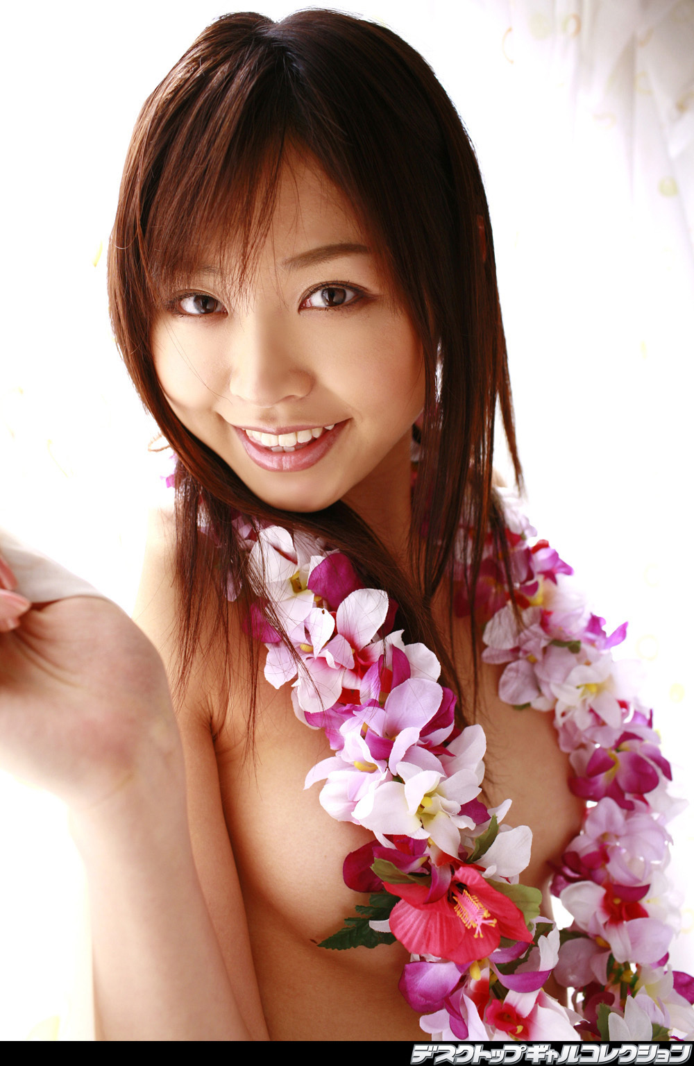 No443 原更纱 Sarasa Hara [dgc]